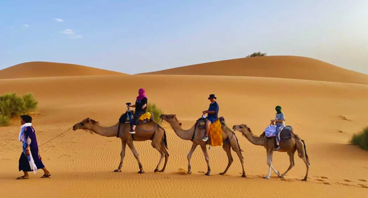 camel trekking Merzouga desert activity